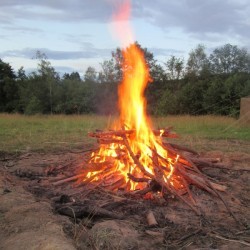 IMG 0554 - Scouts en Gidsen Zaventem 